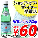 サンペレグリノ 500mlPET 24本 (炭酸水) ※お一人様2点限り