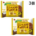 ブルボン ミニベイクドチーズケーキ 120g×3個
