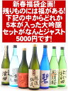 大吟醸ばかり集めた2011年新春福袋720ml×5本セット！残りものには福がある！年末ギフトあまりの大吟醸酒を集めた豪華福袋！5本入ってジャスト5000円！