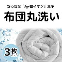 今だけ、500円OFFクーポン//ふとん クリーニング 宅配 スマクリふとん専科3点【敷布団は1枚まで】布団 クリーニング【サービス特集認定商品】