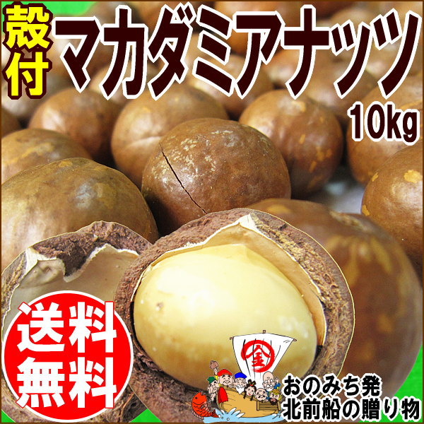 マカダミアナッツ 送料無料 殻付き マカデミアナッツ 10kg（バラ） オーストラリア産 …...:onomichi-8:10000728