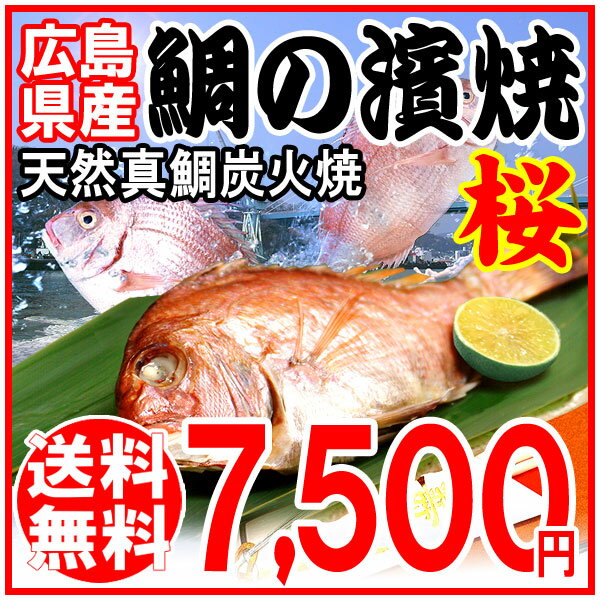 送料無料 父の日 ギフト 父の日ギフト プレゼント 送料無料 鯛/鯛の浜焼き/鯛 お食い初…...:onomichi-8:10000355