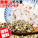 国産 もち麦 殻付き 1kg×1袋 訳あり 小サイズ 雑穀米 に