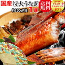 送料無料 父の日 母の日 ギフト プレゼント 送料無料 うなぎ 蒲焼き 扇子付き【国産 国内産】炭火焼うなぎ蒲焼1尾 特大サイズ 宮崎県産・鹿児島県産※鰻 蒲焼のタレ付【楽ギフ_のし宛書】ウナギ 土用 丑の日