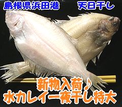 お中元 ギフト 【天日干し】水カレイ一夜干し特大サイズ1匹セット【島根県浜田港産】