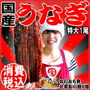 うなぎ 蒲焼き【国産 国内産】炭火焼うなぎ蒲焼1尾