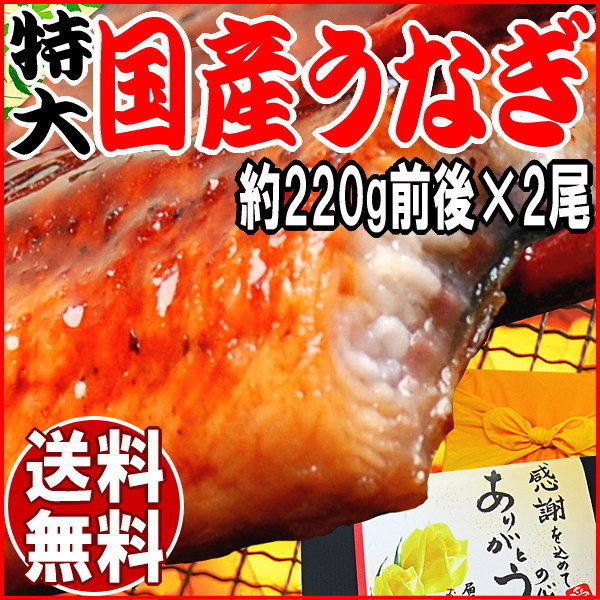 うなぎ 蒲焼き 国内産 送料無料 父の日 ギフト 父の日ギフト プレゼント 【送料無料】うなぎ 国産...:onomichi:10003317