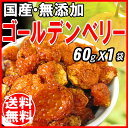 国産 ゴールデンベリー インカベ...