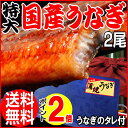 母の日 2013 母の日限定 早割 父の日【送料無料】ギフト うなぎ 蒲焼き 国内産 うなぎ 蒲焼き 鰻 BIG【国産】 国内産 炭火焼 うなぎ蒲焼 超特大2尾入 宮崎県産※蒲焼のタレ付【あす楽送料無料0201】【楽ギフ_のし宛書】誕生日 内祝い お祝い ウナギ/土用/丑の日/セール