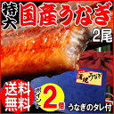 母の日 2013 母の日限定 早割 父の日ギフト　うなぎ 蒲焼き 国内産 うなぎ 蒲焼き 鰻 BIG 国内産 炭火焼 うなぎ蒲焼 超特大2尾入 宮崎県産※蒲焼のタレ付誕生日 内祝い お祝い ウナギ/土用/丑の日/セール母の日 2013 母の日限定 早割 父の日ギフトうなぎ 蒲焼き 国内産 うなぎ蒲焼 プレゼント　BIG ポイント2倍/鰻 /セール