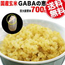GABAの恵 国産 巨大胚芽米 ギャバ 700g×1袋 玄米《白米モードで炊けます》送料無料 国内産100% お米 スーパーフード 食物繊維・ビタミン たっぷり ※日時指定不可 スーパーフード 雑穀