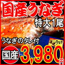 うなぎ 蒲焼き 【国産 国内産】炭火焼うなぎ蒲焼1尾 特大サイズ(1尾:約190g?200g前後) 宮崎県産・鹿児島県産 ※送料900円必要です ※鰻 蒲焼のタレ付き ウナギ 土用 丑の日