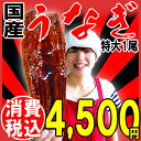 うなぎ 蒲焼き 【国産 国内産】炭火焼うなぎ蒲焼1尾 特大サイズ(1尾:約230g?250g前後)宮崎県産・鹿児島県産 【1尾?4尾迄のご注文は、送料900円必要】同梱5尾(22,500円)以上で送料無料!※鰻蒲焼のタレ付き ウナギ P12Sep14