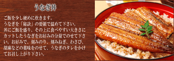 うなぎ蒲焼き国内産送料無料プレゼント早割ギフト鰻【国産】1尾250g前後うなぎ蒲焼特大2尾入宮崎県産・鹿児島県産蒲焼タレ付【あす楽_対応】【楽ギフ_のし宛書】誕生日内祝いお祝いウナギ02P20Sep14P20Sep14土用丑の日【RCP】