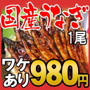 うなぎ 蒲焼き★ウナギ 29%OFF★国産《訳あり》小さい国産うなぎ蒲...