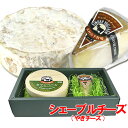 5%還元 【送料無料】木村山羊牧場 やぎチーズ(シェーブルチーズ) 100g×2個セット【新生活応援クーポン】