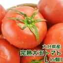 5%還元 大分県産 完熟系・大玉トマト 走るトマト紅玉 L(5個入り 1個当たり約200g) オリジナルブランド 富丸ムーチョ品種 懐かしいとまと 走るトマト【送料無料】【新生活応援クーポン】