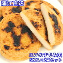 5%還元 手造りエソのすり身天 冷凍 5枚入り×2 早川商店【送料無料】