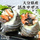 【クーポン利用で20%OFF】【※指定日必須】大分県産 活きさざえ 1kg (約6個前後) 新鮮なサザエをお届け 冷蔵 国東海山食品 【送料込】