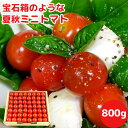 お中元 トマト農家から産地直送 大分県竹田産 お試し 夏秋ミニトマト 800g(約42~56玉) 贈答箱入り 鮮度抜群 甘くてジューシー 有機肥料で育てた新鮮な野菜 お土産 ギフト 一粒万倍【送料込】