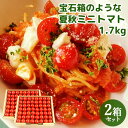 お中元 トマト農家から産地直送 大分県竹田産 夏秋ミニトマト 1.7kg×2箱セット 贈答箱入り おすそ分け 鮮度抜群 甘くてジューシー 有機肥料で育てた新鮮な野菜 お土産 ギフト 一粒万倍【送料込】