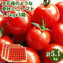 お中元 トマト農家から産地直送 大分県竹田産 夏秋ミニトマト たっぷり5.1kg (1.7kg×3箱) 贈答箱入り まとめ買い 鮮度抜群 甘くてジューシー 有機肥料で育てた新鮮な野菜 お土産 ギフト 一粒万倍【送料込】