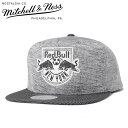 ミッチェル&ネス キャップ スナップバック ニットクラウン PUバイザー MLS ニューヨーク レッドブルズ グレー Mitchell&Ness