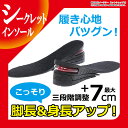 送料無料 シークレットインソール 7cm 左右1組 メンズ レディース 3段階調整 3+2+ 2cm