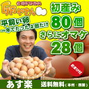 今が旬!平飼い卵の初産み卵80個+破損保証のおまけ28個(卵...