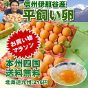 平飼い卵30個