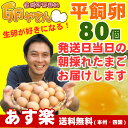 平飼い卵80個