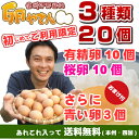 初めての御客様 限定 3色食べ比べセット★