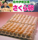 ■自動継続タイプ■　毎月安心をお届け、定期コース　さくらたまご80個(破損保証20個含む)　卵のサイズはMS〜Lサイズとなります。◆今だけトクベツ◆初回お届け分エントリーでポイント5倍