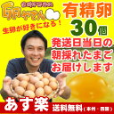 ■10個パック対応■ 有精卵30個