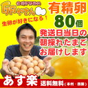 ■10個パック対応■ 有精卵80個