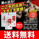 【圧倒的な含有量と値段】L-シトルリン+L-アルギニンMAX 30日分×お得な3袋セット【大容量240粒入/3袋】日本製l-シトルリン・l-アルギン配合サプリ!【送料無料】シトルリン アルギニン 国産 身長