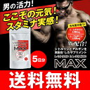 【圧倒的な含有量/お試し価格】L-シトルリン+L-アルギニンMAX 5日分【40粒/1袋】/500円ぽっきり/シトルリン/アルギニン/サプリ/サプリメント/錠剤/送料無料/国産/身長