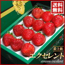 あまおうエクセレント(約450g)福岡産 いちご 苺 イチゴ 甘王 送料無料