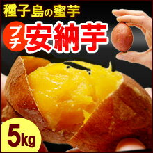 プチ安納芋(5kg)種子島産 サツマイモ さつま芋 蜜芋 送料無料...:ookiniya:10000451