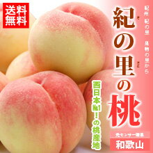 紀の里の桃（12〜15玉/4kg）【楽ギフ_包装】【楽ギフ_のし】【楽ギフ_のし宛書】【楽ギフ_メッセ入力】【送料無料】和歌山紀の里の桃（産地化粧箱4kg）【白鳳→川中島白桃、お中元・御中元・フルーツ・ギフト・和歌山】