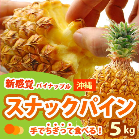 スナックパイン（5kg前後）【マラソン1207P05】高糖度スナックパイン（5kg）手でちぎって食べる人気のパイナップル【沖縄・石垣島産】