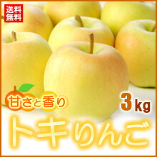 トキりんご秀品（3kg）