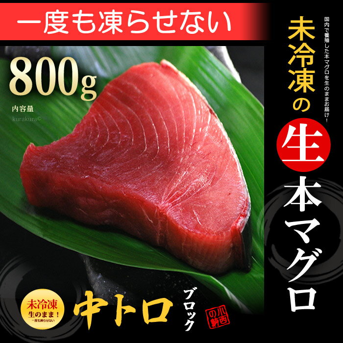 生本マグロ 中トロブロック(約800g)国産(主に鹿児島 長崎 高知)蓄養 生まぐろ 送料…...:ookiniya:10000866