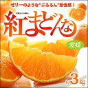 紅まどんな(3kg)【楽ギフ_包装】【楽ギフ_のし