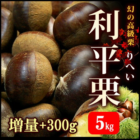 利平栗2L（5.3kg）【送料無料】幻の利平栗（5kg＋虫食い保障300g）甘い栗の最高峰ブランド!!希少な利平栗をお届け【くり・クリ・栗】