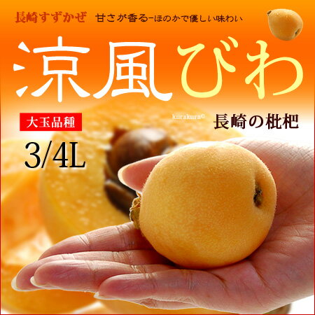 涼風びわ(3-4L/約1kg)長崎産 ビワ 枇杷 ハウス栽培 送料無料...:ookiniya:10000552