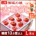 御坂の桃 大糖領白桃(L×8玉)山梨産 糖度13.