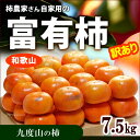 訳あり富有柿(約7.5kg)和歌山九度山産 ふゆう柿 ふゆうがき ご家庭用 ワケアリ 送料無料