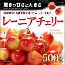 レーニアチェリー（500g）