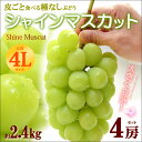シャインマスカット4L×4房(約2.4kg)産地お任せ 皮ごと種無しぶどう 送料無料